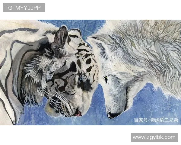 在狼群中崛起的足球明星与勇气与荣耀的传奇之路 在狼群中崛起的足球明星与勇气与荣耀的传奇之路