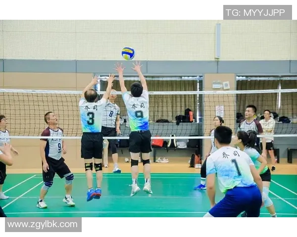 杭州排球队在世界锦标赛中的团队协作表现分析与点评