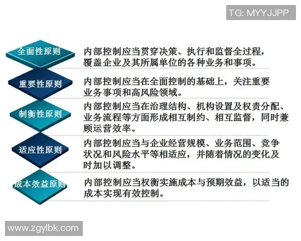 西安网球队的战术解析与控制体系的全面探讨与应用