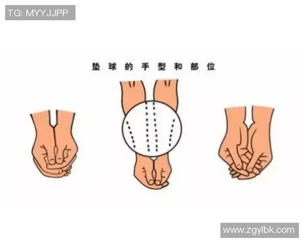 专业解读：广州排球队的防反打法