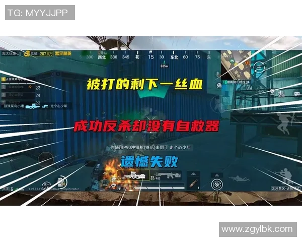 和平精英热议：LNG的灵活性争议