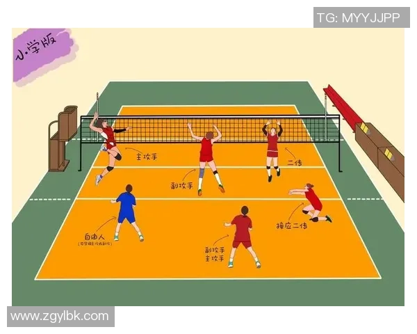 排球战术：杭州排球队的快攻体系